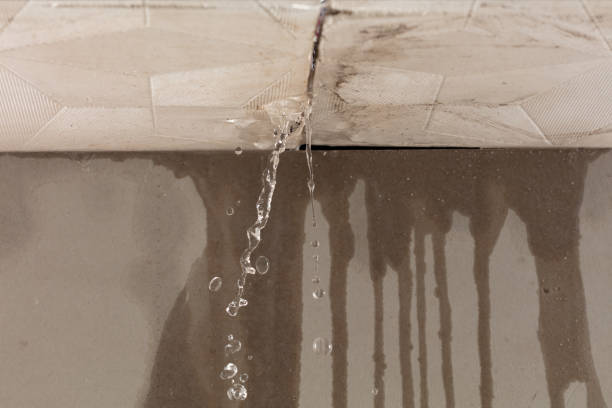 Professional Structural Drying technician working in Hatley, WI